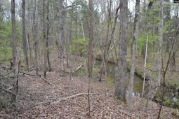 1309 Farming Creek Road photo 4