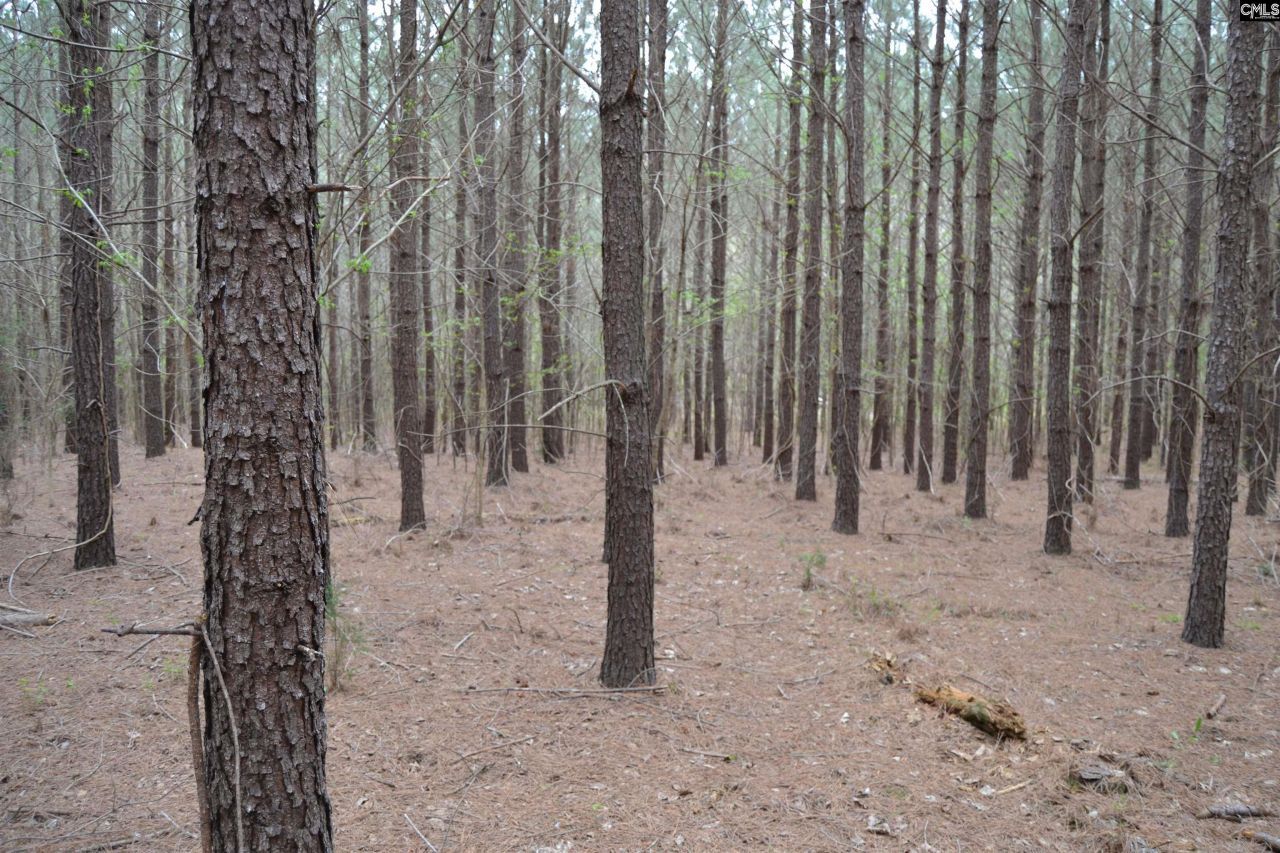 1309 Farming Creek Road Photo 5