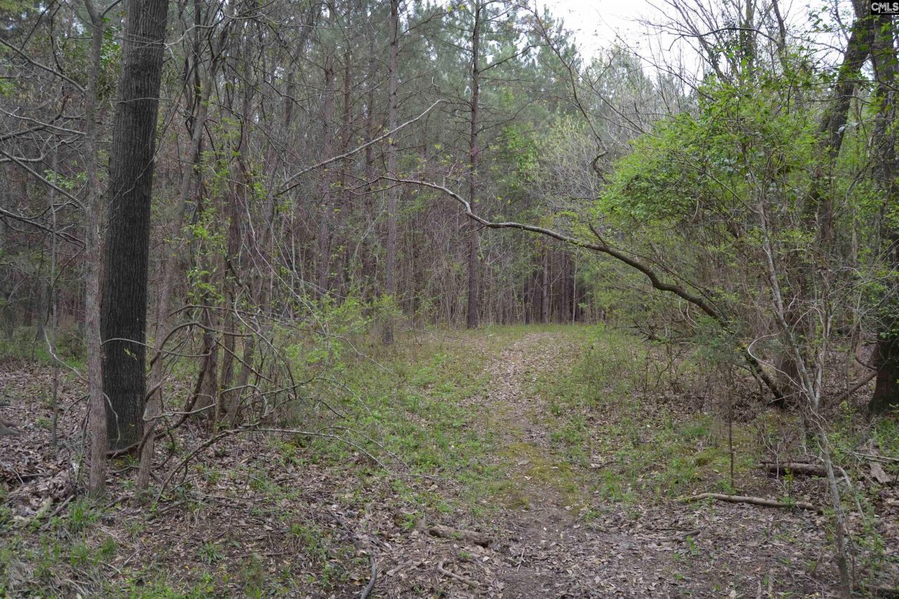 1309 Farming Creek Road Photo 6