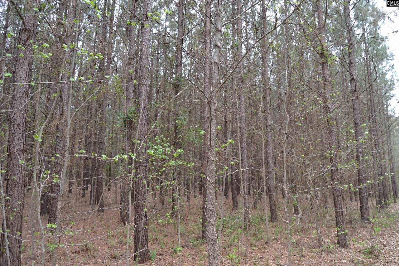 1309 Farming Creek Road Photo 7