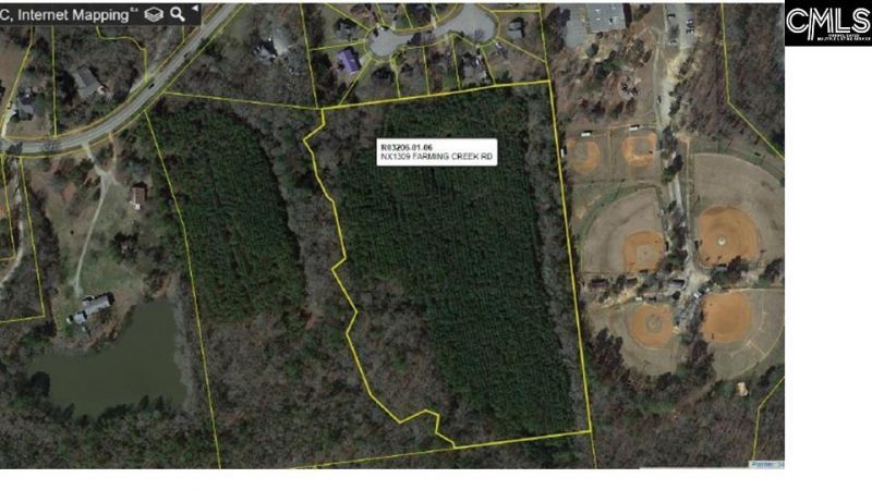 1309 Farming Creek Road Photo 8