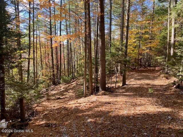 35 Mountain Path, North Creek, NY 12853 Main Photo