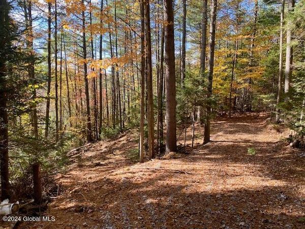 35 Mountain Path, North Creek, NY 12853