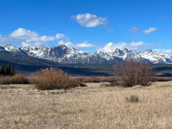 TBD Fisher Creek Loop, Stanley, ID 83278