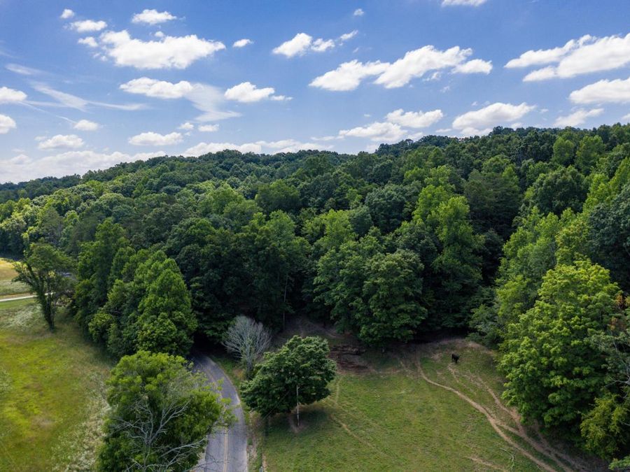 Property Image 35