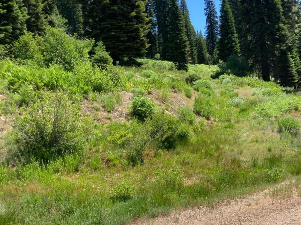 325 Norton Meadows Rd., Bucks Lake, CA 95971