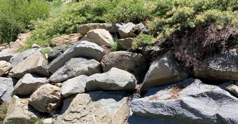 325 Norton Meadows Rd., Bucks Lake, CA 95971 Photo