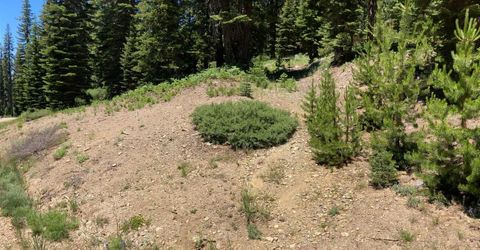 221 Norton Meadows Rd., Bucks Lake, CA 95971 Photo