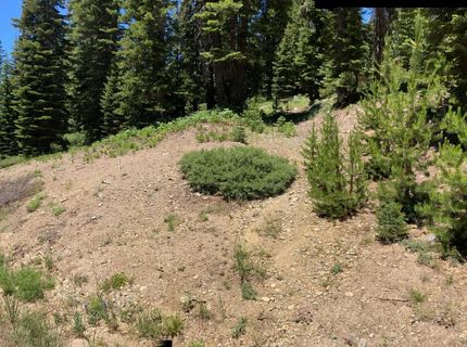 221 Norton Meadows Rd., Bucks Lake, CA 95971 Photo