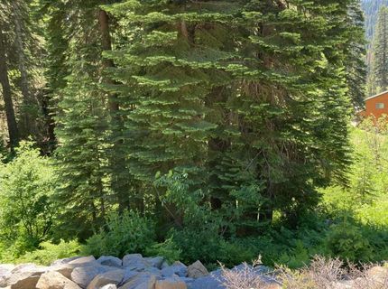 230 Norton Meadows Rd., Bucks Lake, CA 95971 Photo