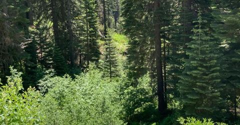 230 Norton Meadows Rd., Bucks Lake, CA 95971 Photo