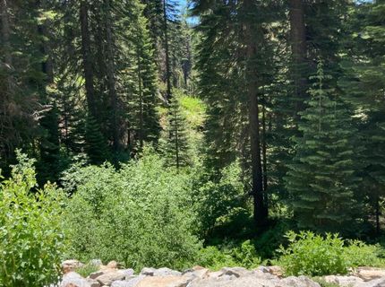 230 Norton Meadows Rd., Bucks Lake, CA 95971 Photo