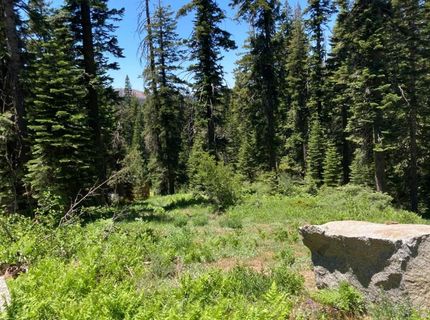 352 Norton Meadows Rd., Bucks Lake, CA 95971 Photo