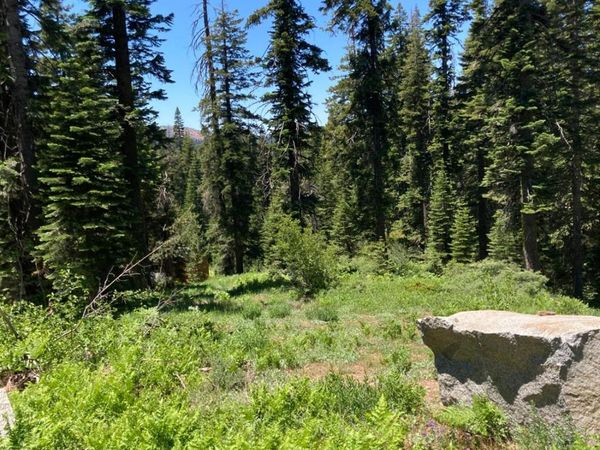 352 Norton Meadows Rd., Bucks Lake, CA 95971