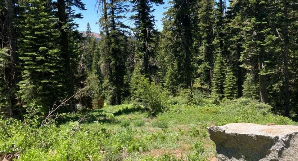 352 Norton Meadows Rd., Bucks Lake, CA 95971 Photo