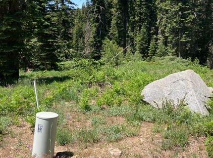 352 Norton Meadows Rd., Bucks Lake, CA 95971 Photo