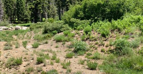 352 Norton Meadows Rd., Bucks Lake, CA 95971 Photo