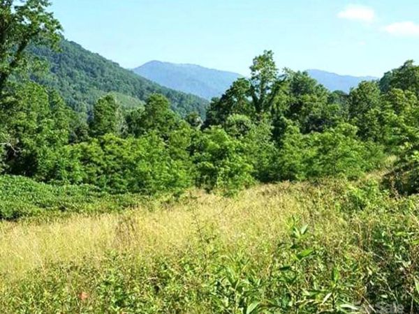 00 Split Pine Cove, Clyde, NC 28721