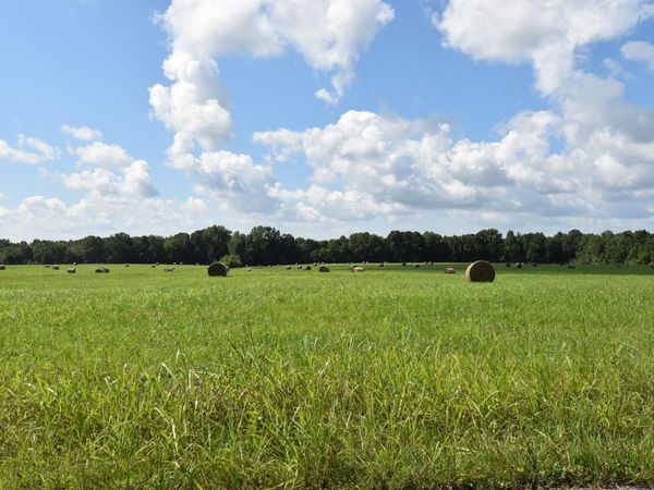 0 Old Quick Rd, Fayetteville, TN 37334