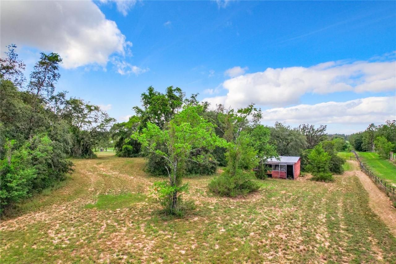10133 Colt Lane, Winter Garden, FL 34787 Photo