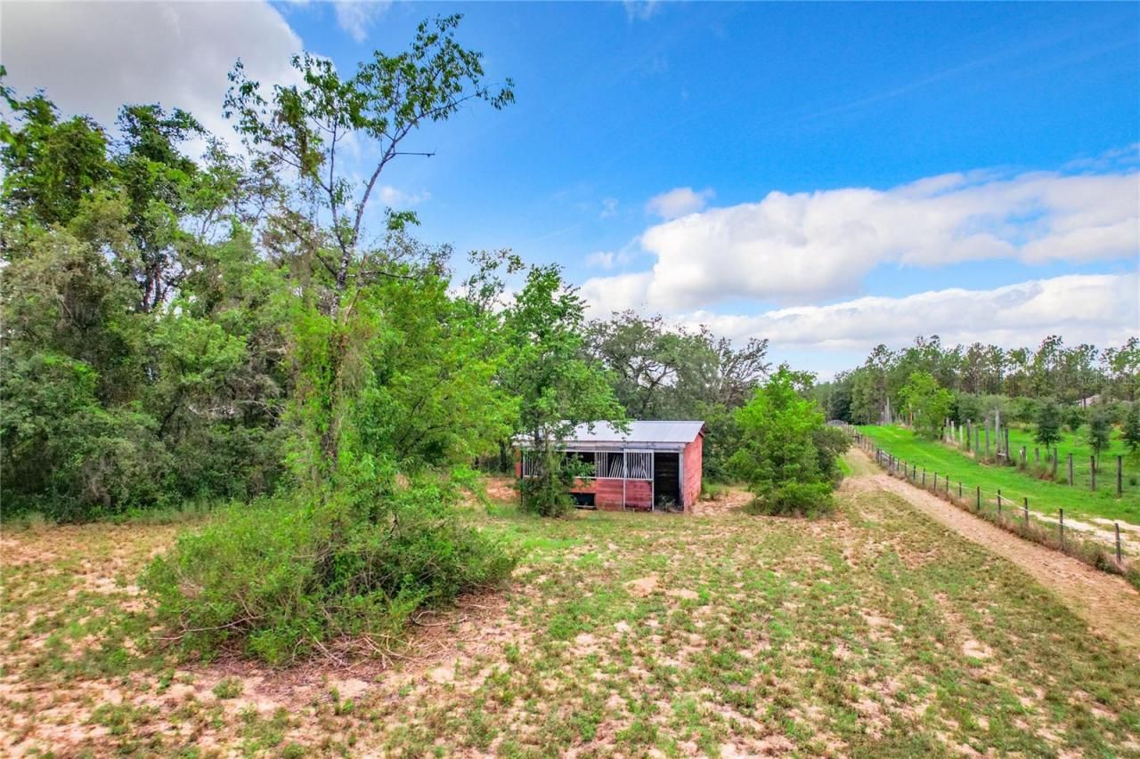 10133 Colt Lane, Winter Garden, FL 34787 Photo