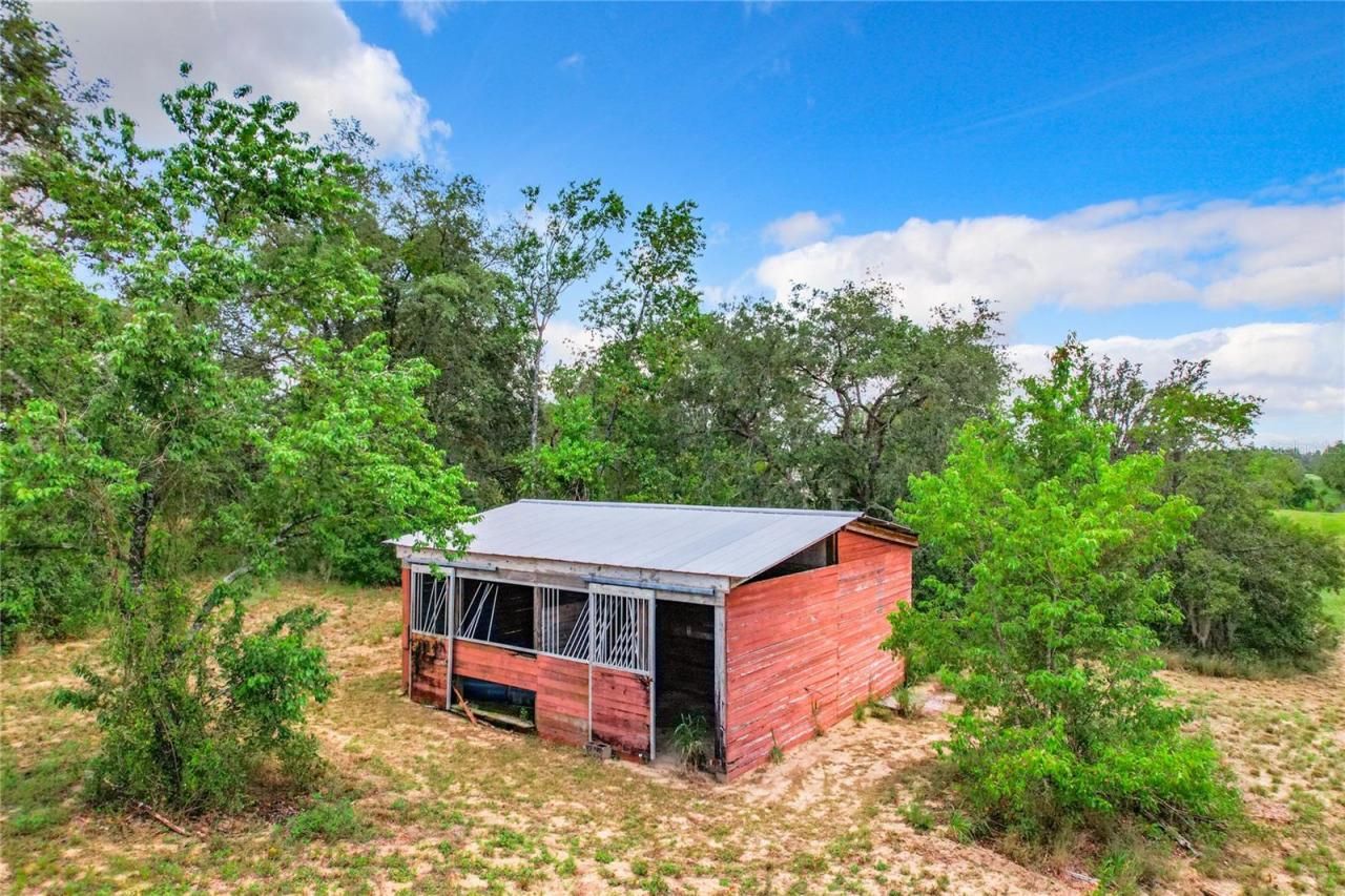 10133 Colt Lane, Winter Garden, FL 34787 Photo