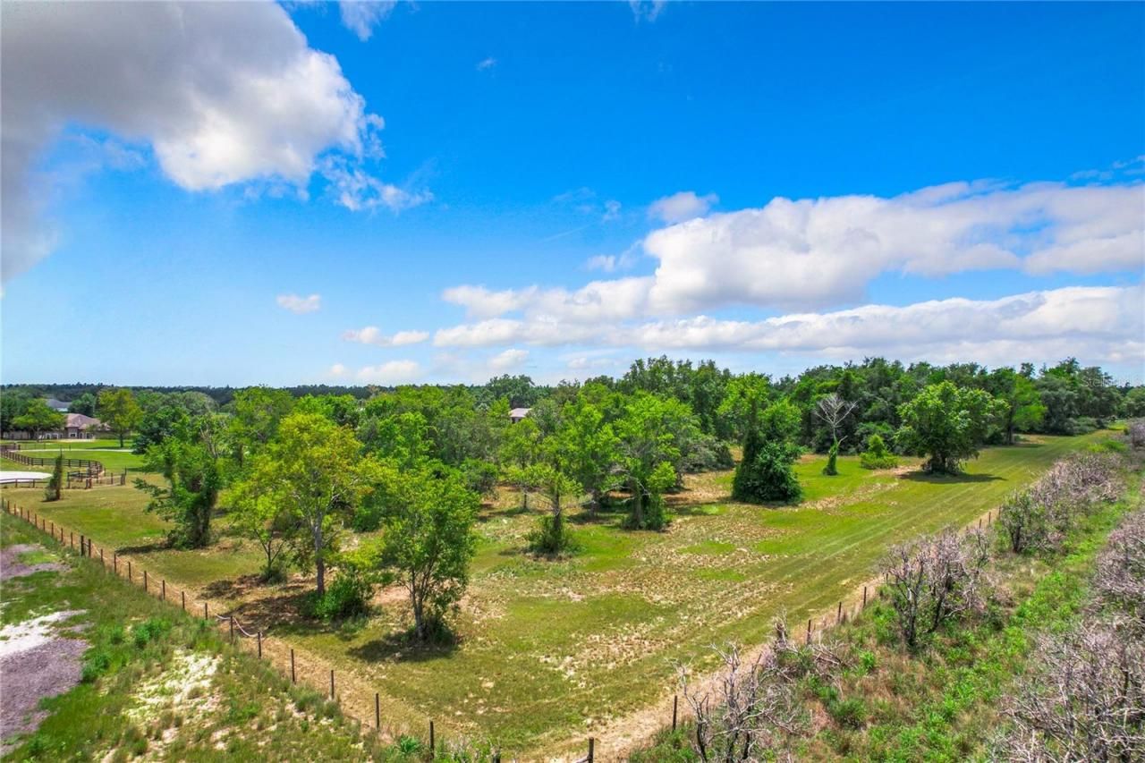 10133 Colt Lane, Winter Garden, FL 34787 Photo