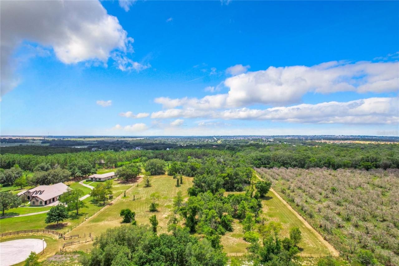 10133 Colt Lane, Winter Garden, FL 34787 Photo