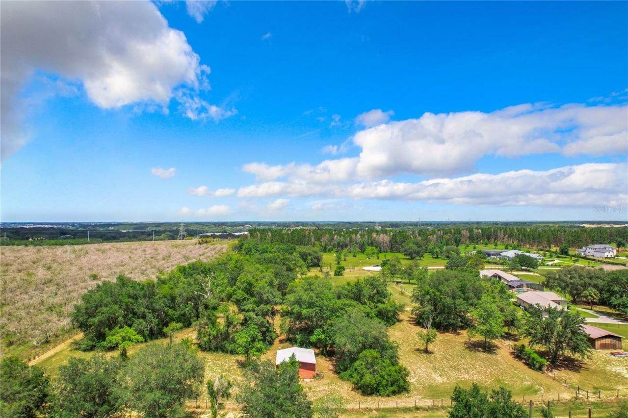 10133 Colt Lane, Winter Garden, FL 34787 Photo