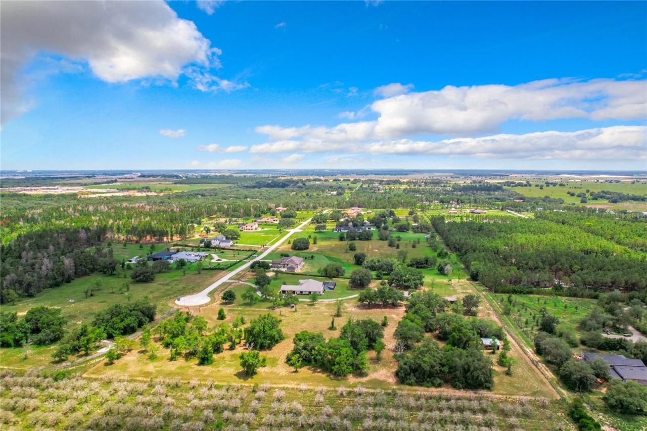 10133 Colt Lane, Winter Garden, FL 34787 Photo