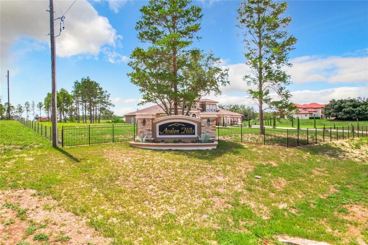 10133 Colt Lane, Winter Garden, FL 34787 Photo