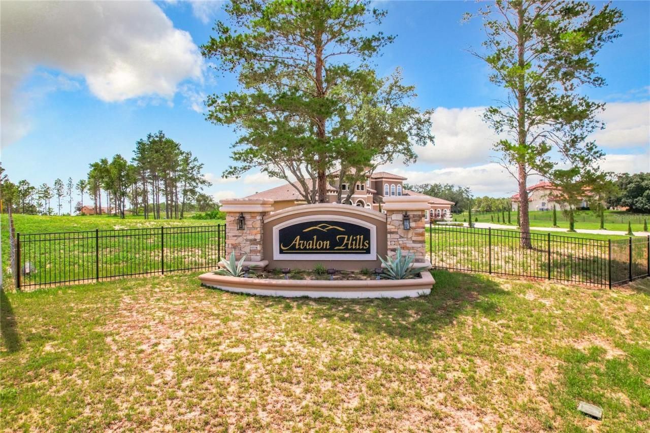 10133 Colt Lane, Winter Garden, FL 34787 Photo