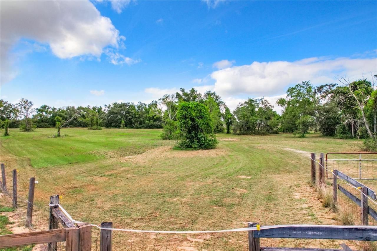 10133 Colt Lane, Winter Garden, FL 34787 Photo