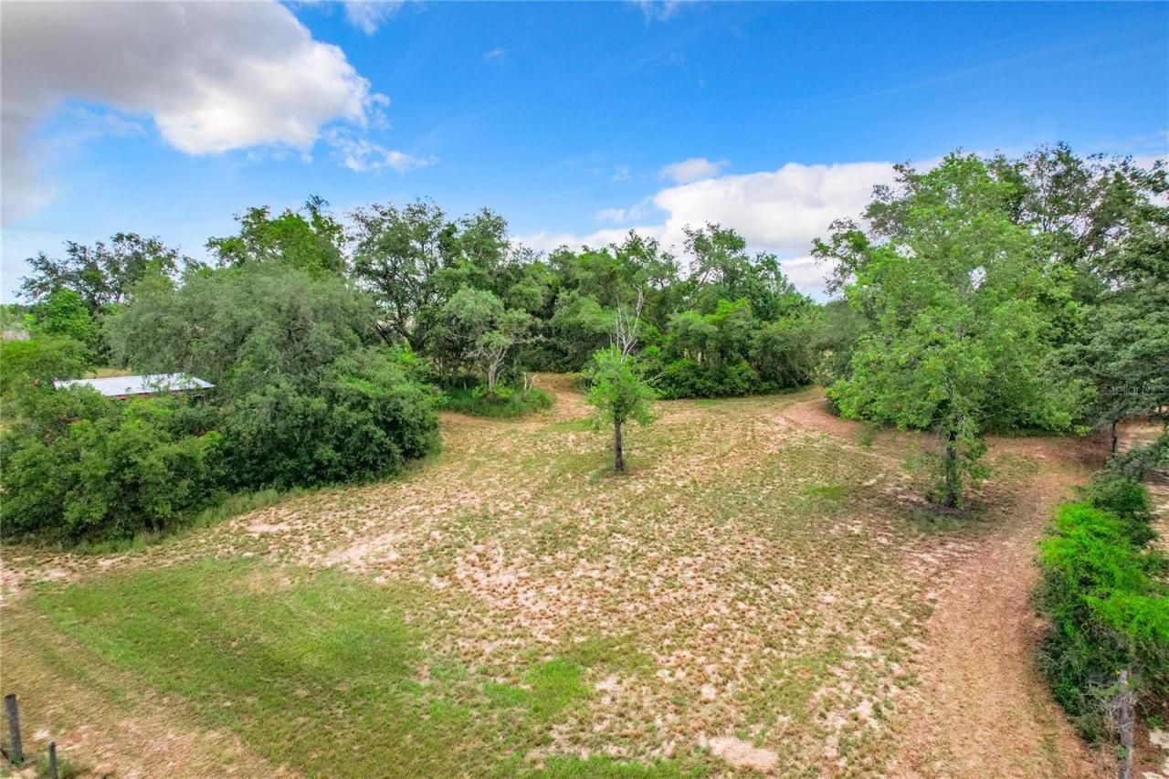 10133 Colt Lane, Winter Garden, FL 34787 Photo