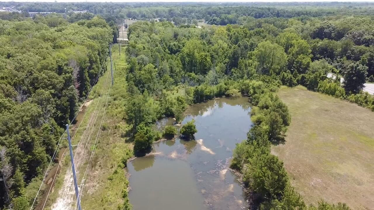 219 SW Cannon Bridge Road Photo 4