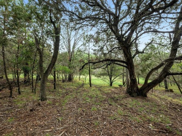 1005 Covered Bridge DR, Driftwood, TX 78619