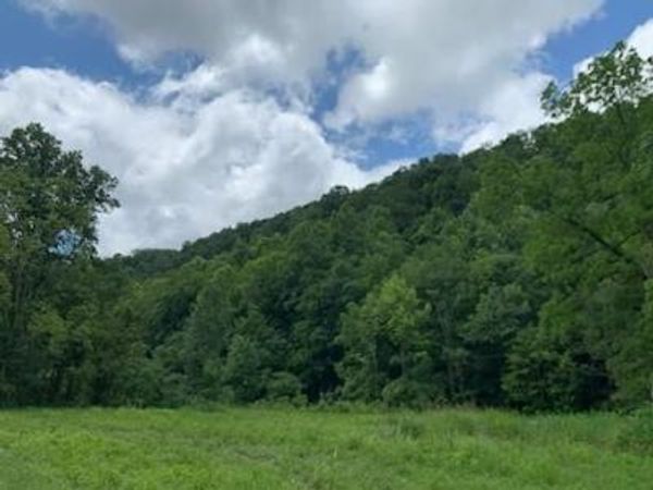 0 Wartrace Rd, Whitleyville, TN 38588