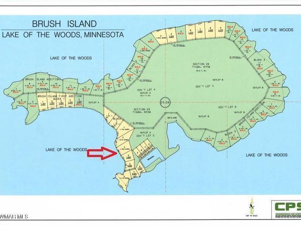 Tract 3 Brush Island, Angle Inlet, MN 56711