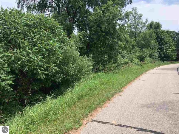 1006 Laredo Drive, Lake Isabella, MI 48893