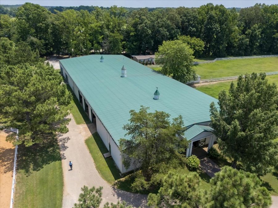 Property Image 55