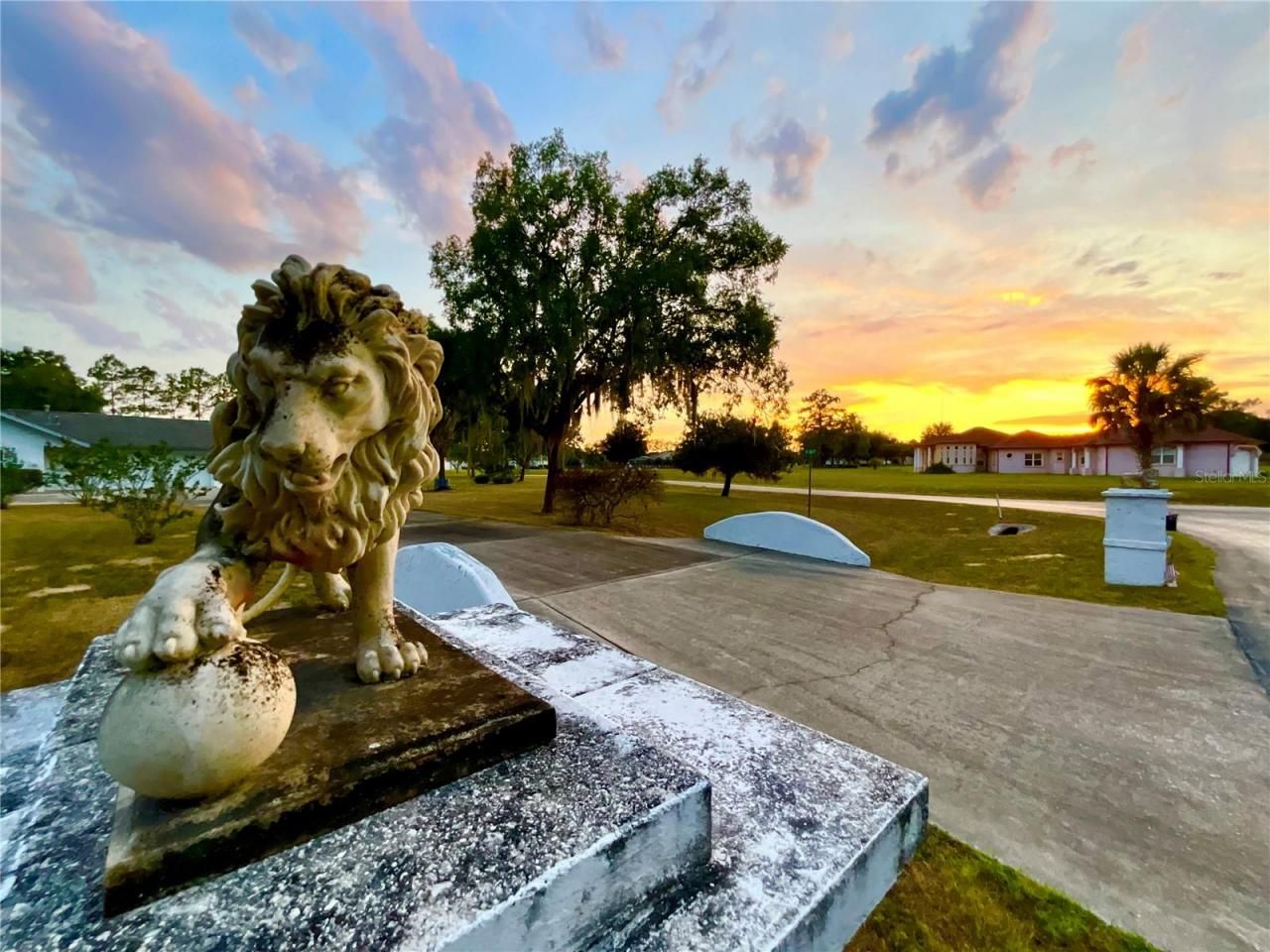 7205 NE 61st Avenue Road, Silver Springs, FL 34488 Photo