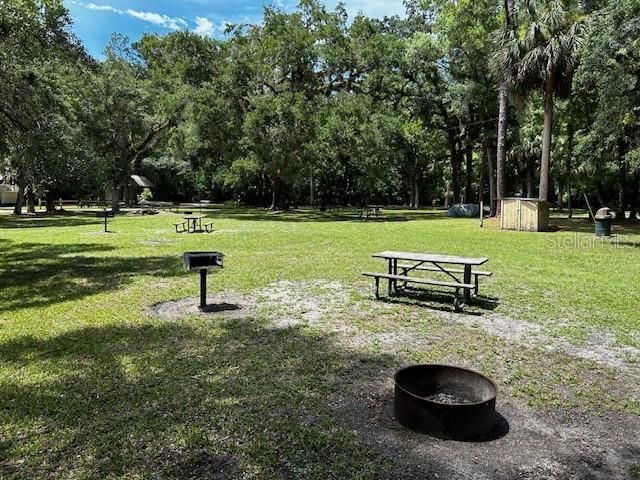 7205 NE 61st Avenue Road, Silver Springs, FL 34488 Photo