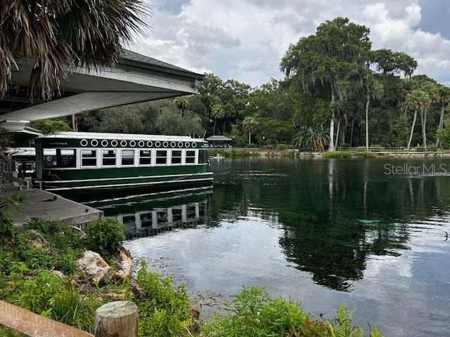 7205 NE 61st Avenue Road, Silver Springs, FL 34488 Photo