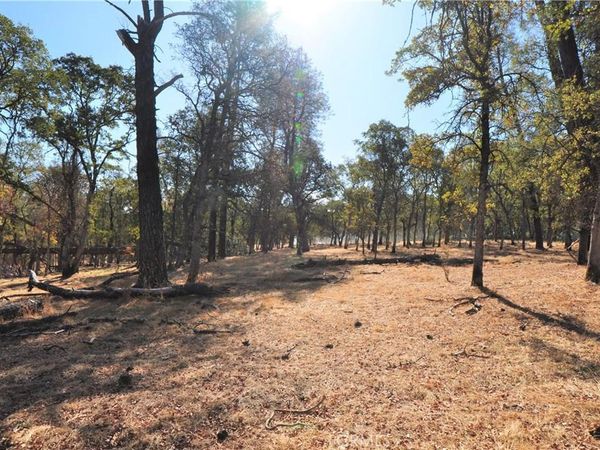 0 Orange Ave, Bangor, CA 95966