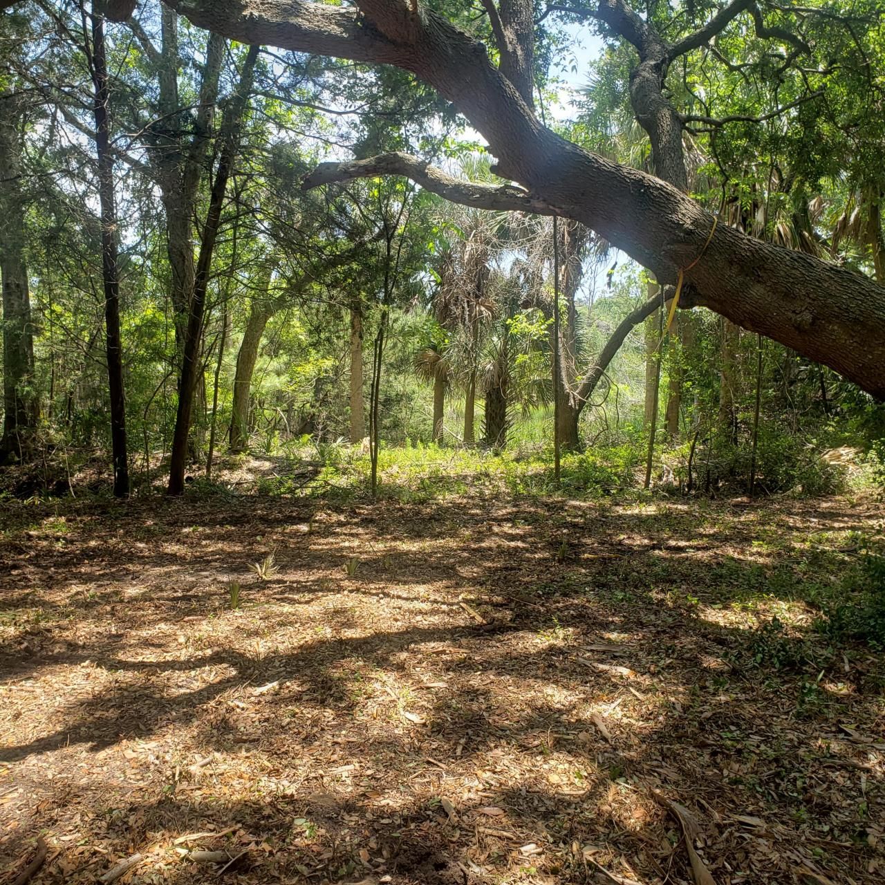 723 Jan Savage Way Photo 10