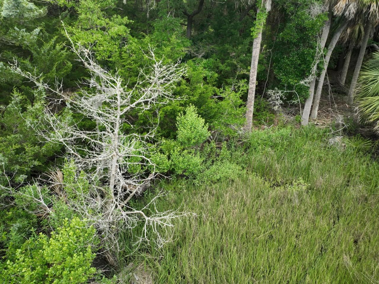 723 Jan Savage Way Photo 11