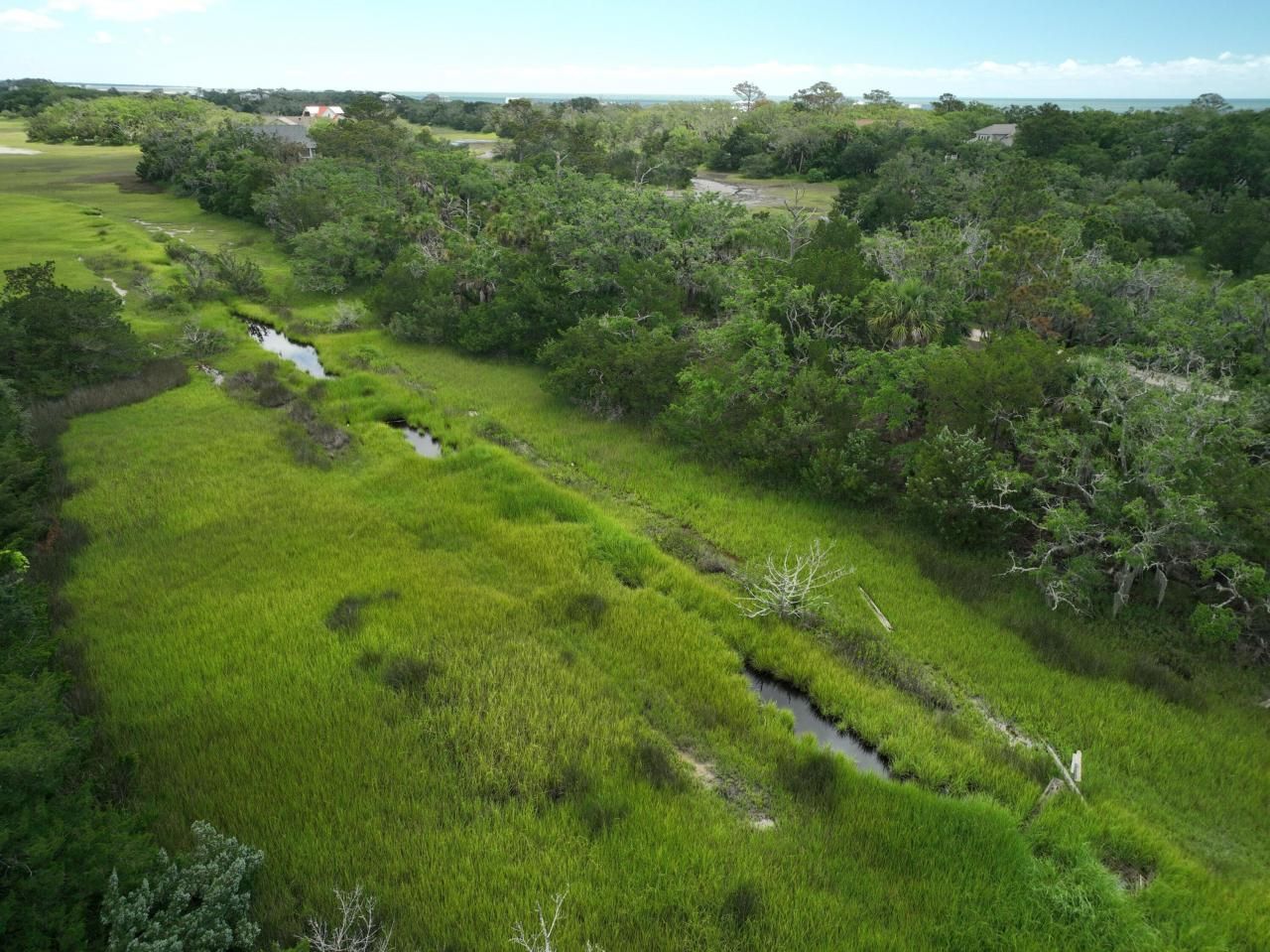 723 Jan Savage Way Photo 13