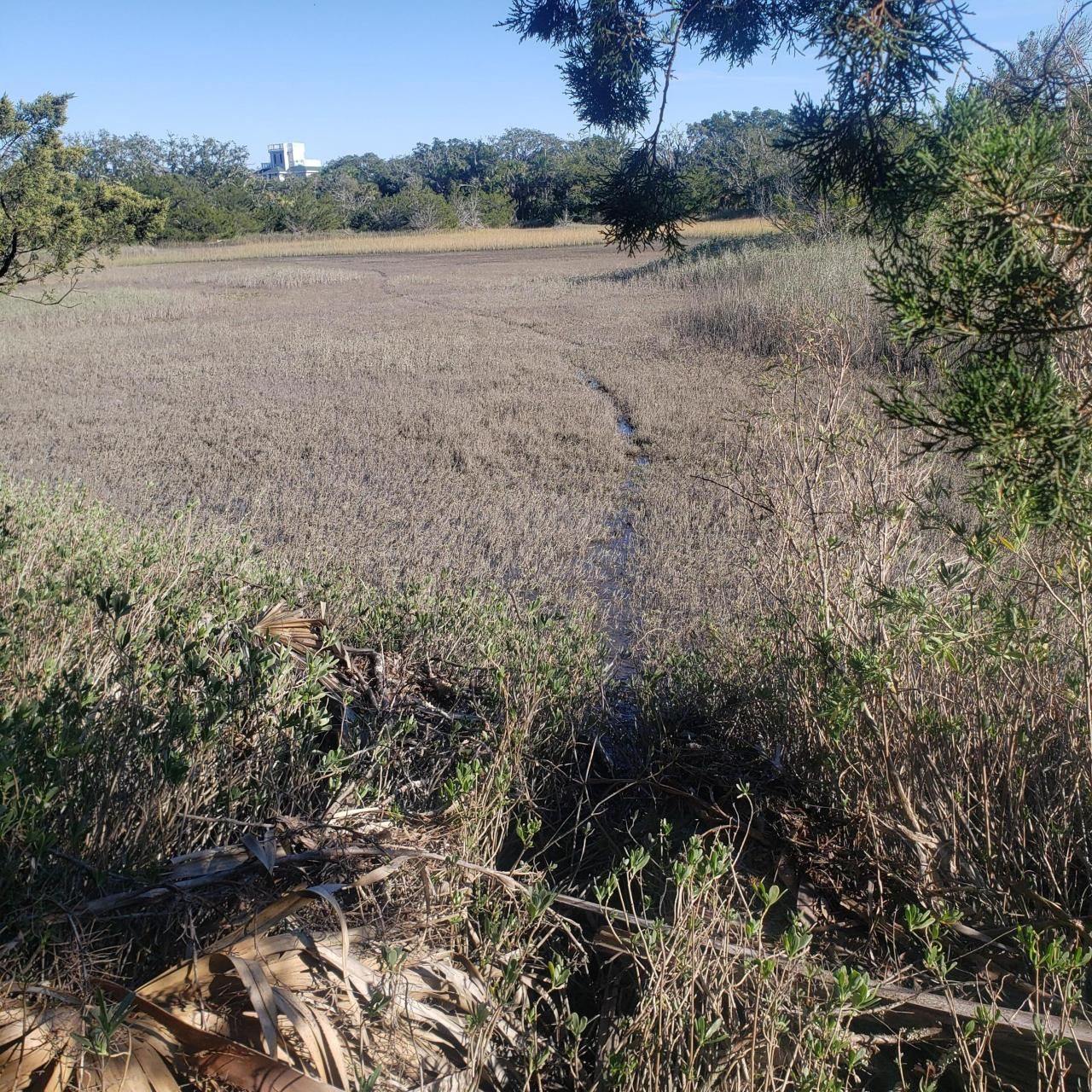 723 Jan Savage Way Photo 14