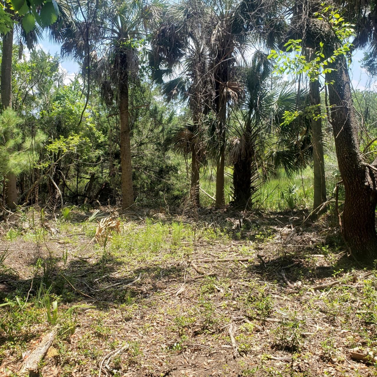 723 Jan Savage Way Photo 15