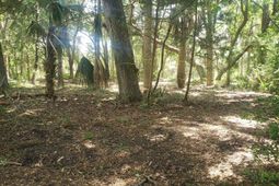 723 Jan Savage Way photo 4